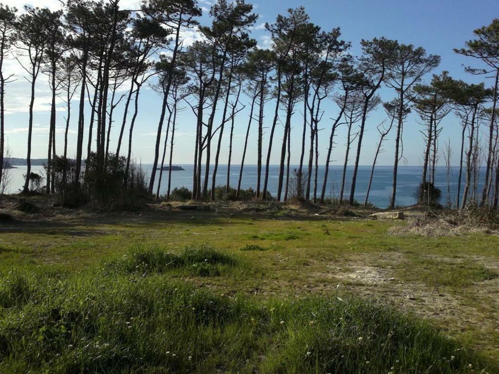Villa Luisa Apartment Somo Buitenkant foto